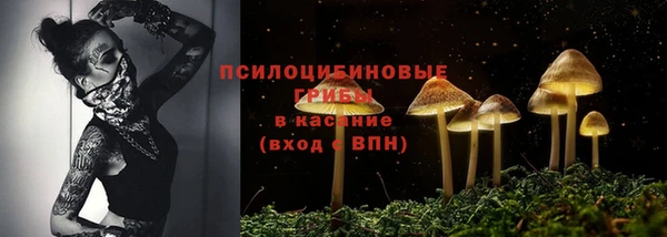 МДПВ Кулебаки