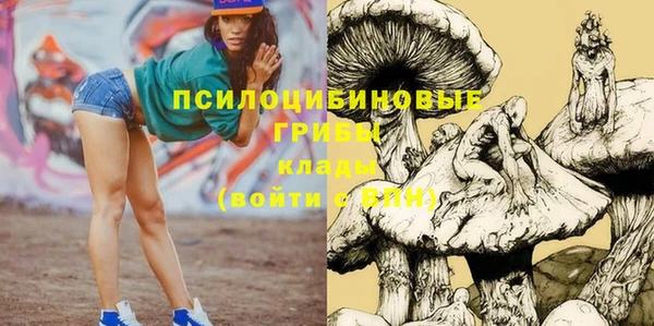 МДПВ Кулебаки