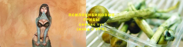 МДПВ Кулебаки