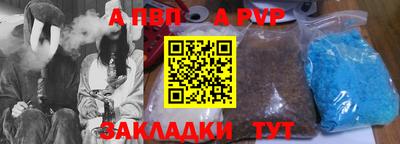 бошки Кингисепп