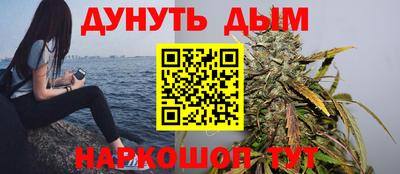 бошки Кингисепп