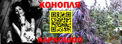 бошки Кингисепп