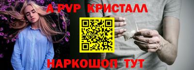 бошки Кингисепп