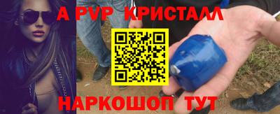 бошки Кингисепп