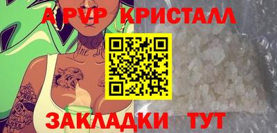 бошки Кингисепп