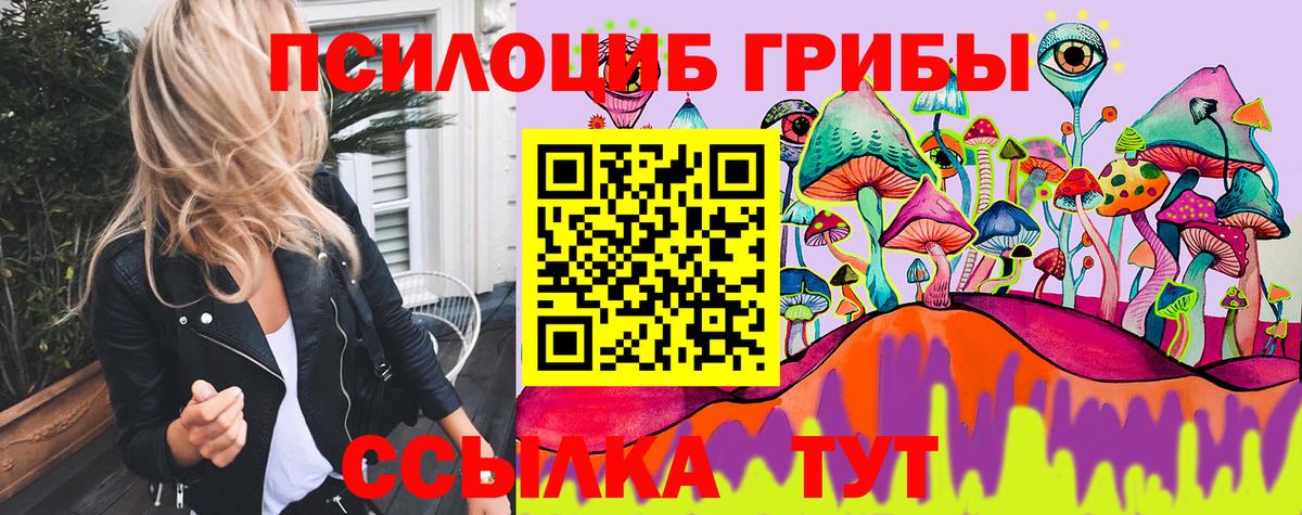 цены наркотик  Псилоцибиновые грибы Cubensis  Вход с VPN  Туапсе 