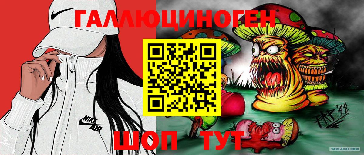 Псилоцибиновые грибы прущие грибы Туапсе