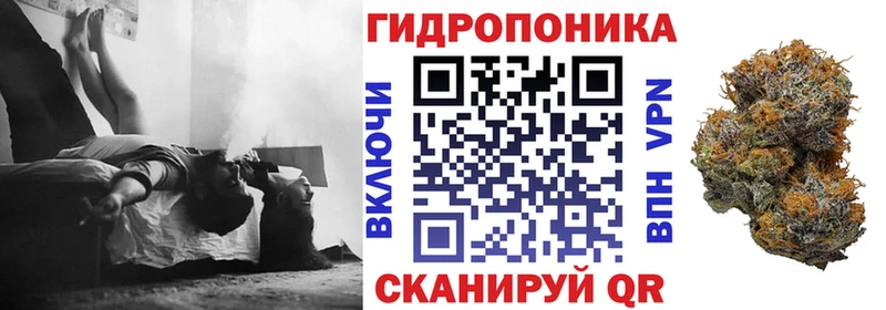 Бошки Шишки семена  KRAKEN ссылка  Туапсе 